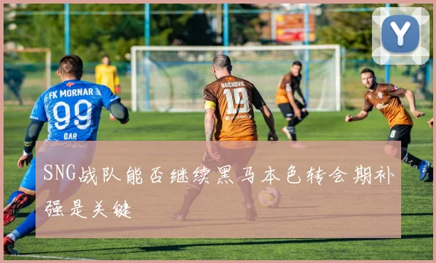 SNG战队能否继续黑马本色转会期补强是关键