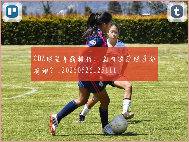 CBA球星年薪排行:国内顶薪球员都有谁?_20260526125111