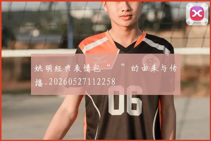 姚明经典表情包“囧”的由来与传播_20260527112258