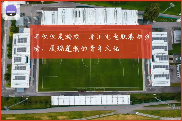 不仅仅是游戏！非洲电竞联赛积分榜，展现蓬勃的青年文化